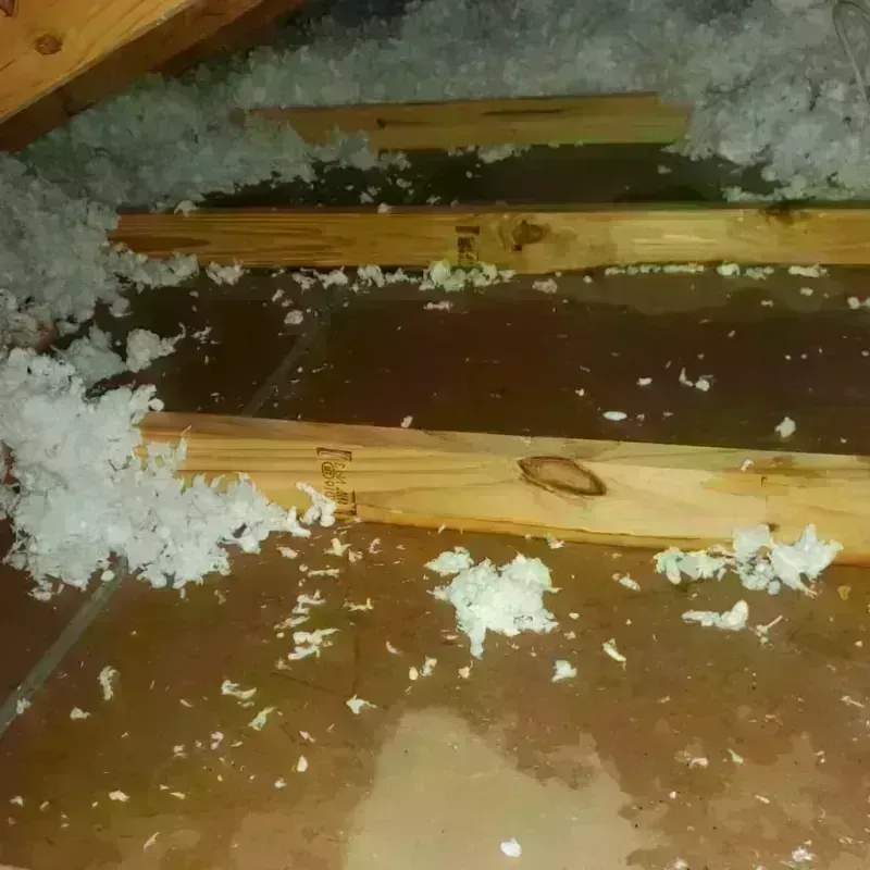 Attic Water Damage in Four Seasons, MO