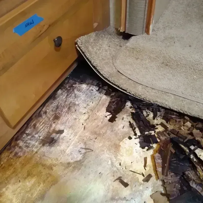 Wood Floor Water Damage in Four Seasons, MO